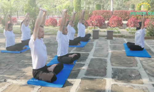 Yoga for Strenthening the Immune System