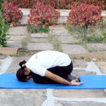 Anliveda Yoga for Regulating Blood Circulation